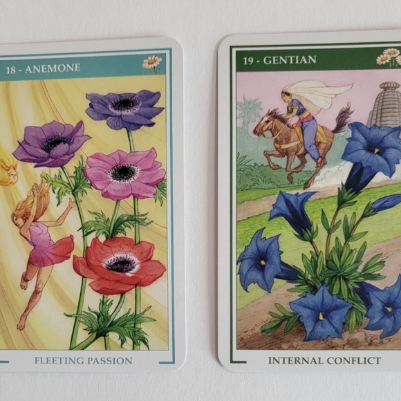 Flowers of Love Deck And Guidebook - Lo Scarabeo - Picture 5 of 16